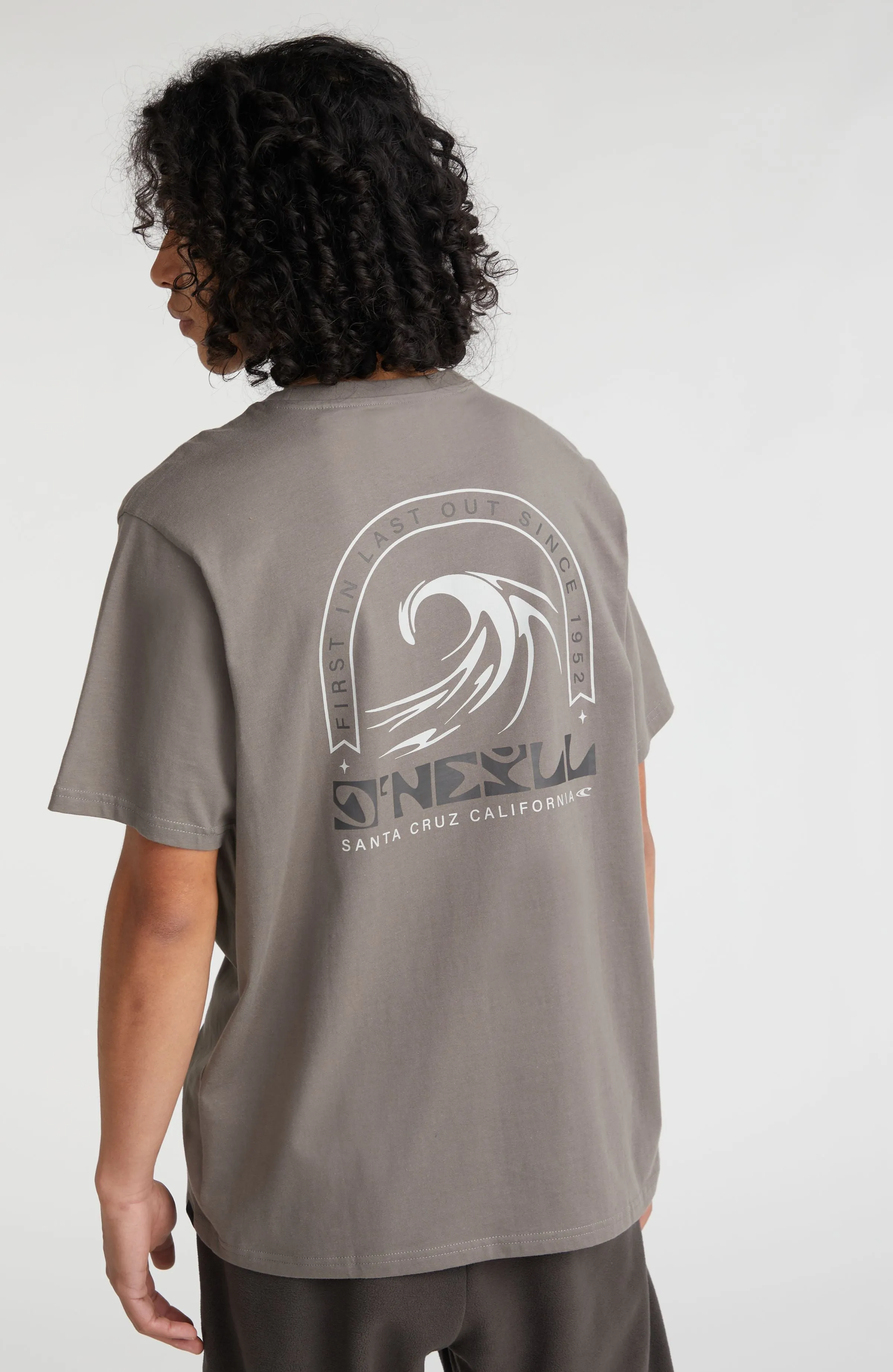 Dipsea T-Shirt | Flint Stone