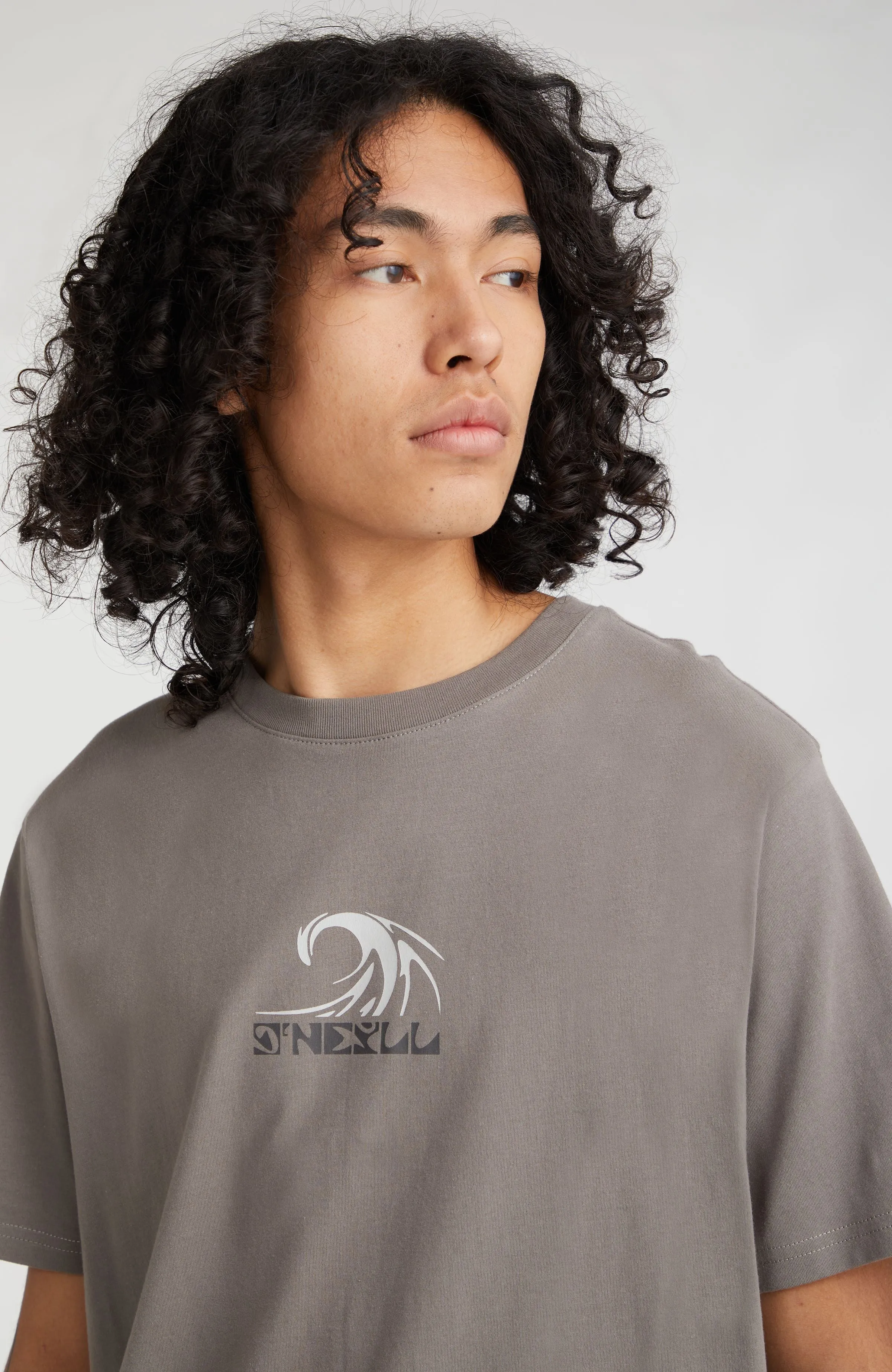 Dipsea T-Shirt | Flint Stone