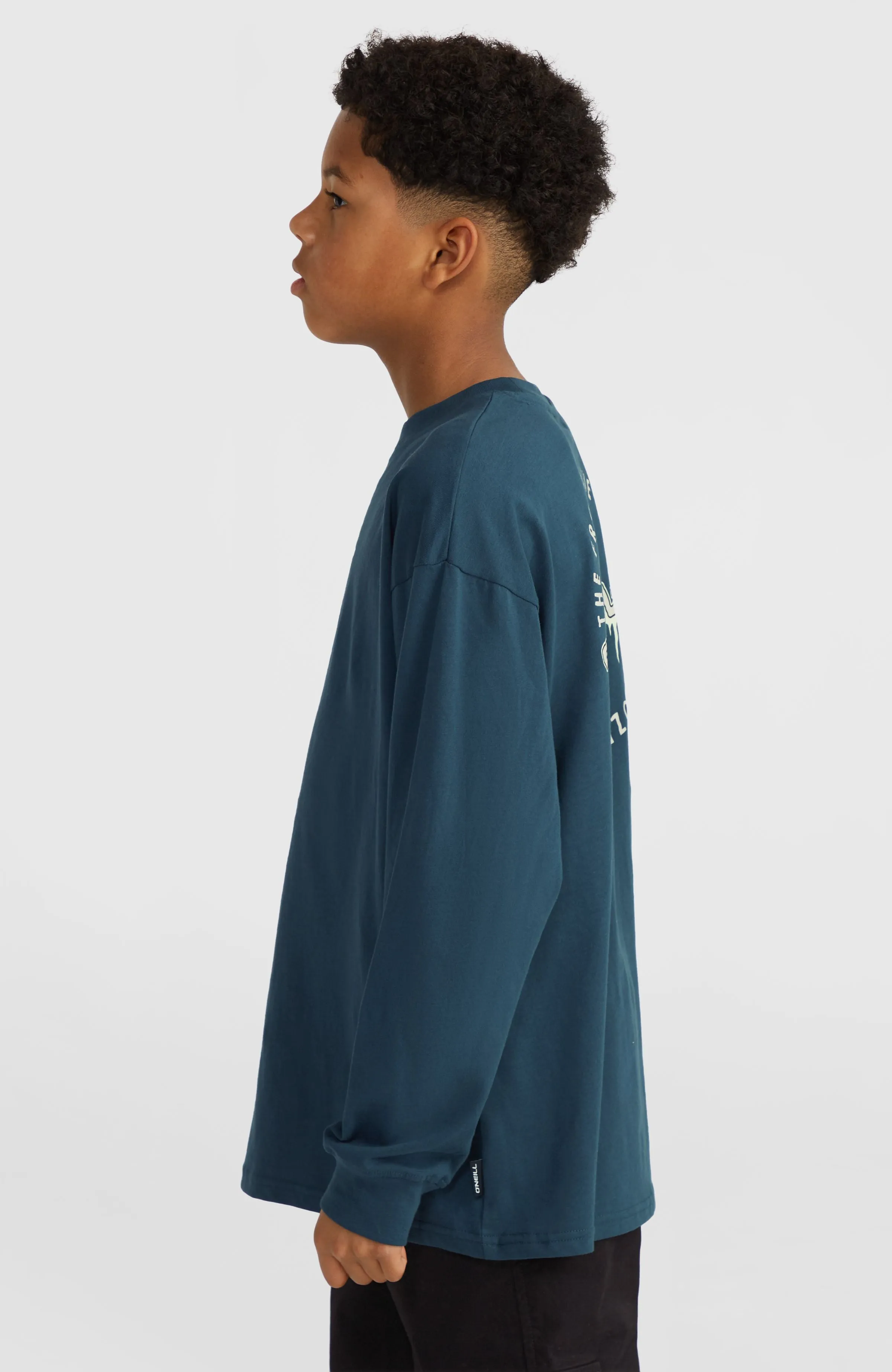 Graphic Long-Sleeve T-Shirt | Alma Steel