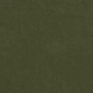"A Solid Color" Hipster Style Board Skirt (Olive)
