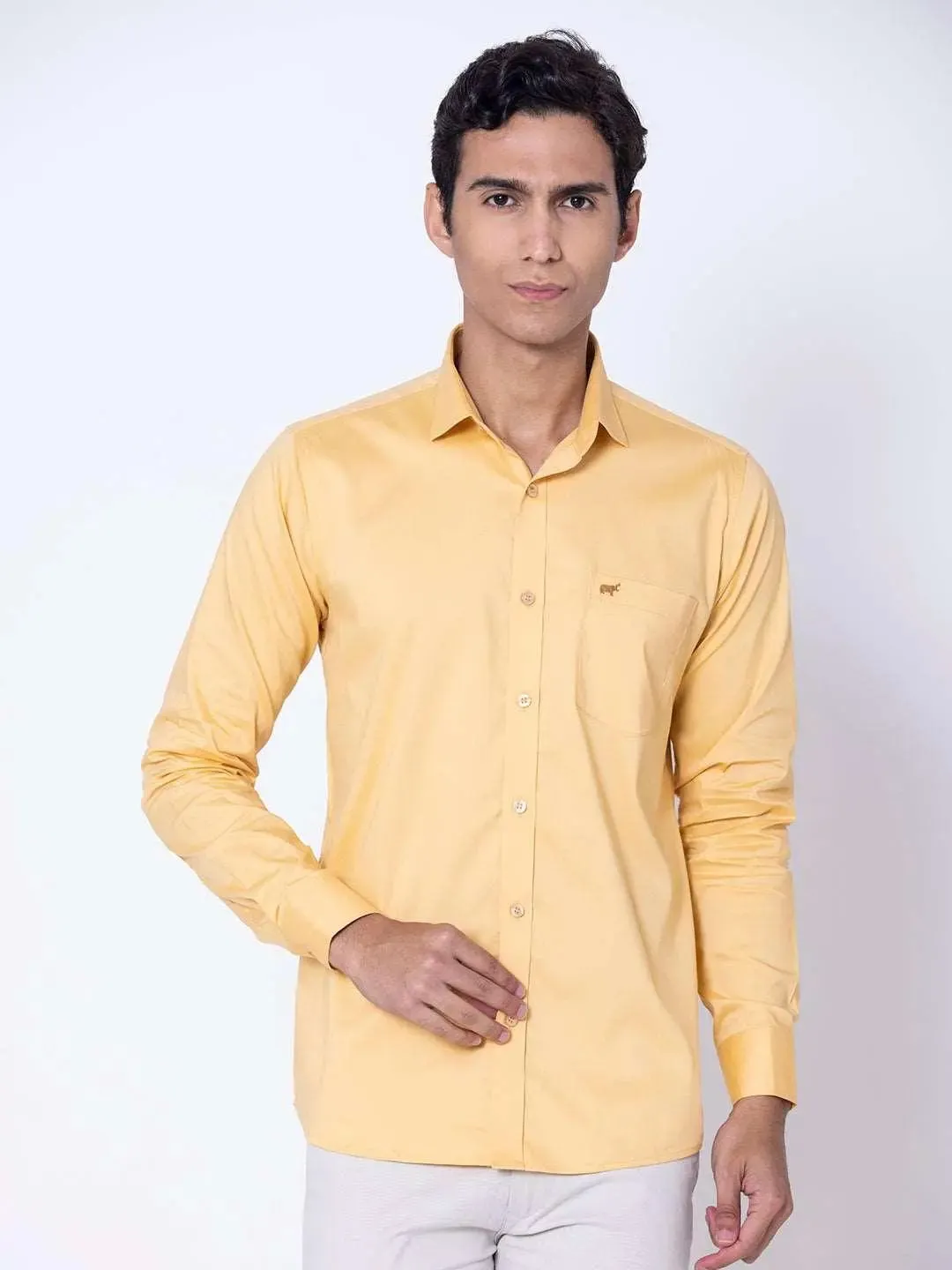 Regular Fit Casual Shirt