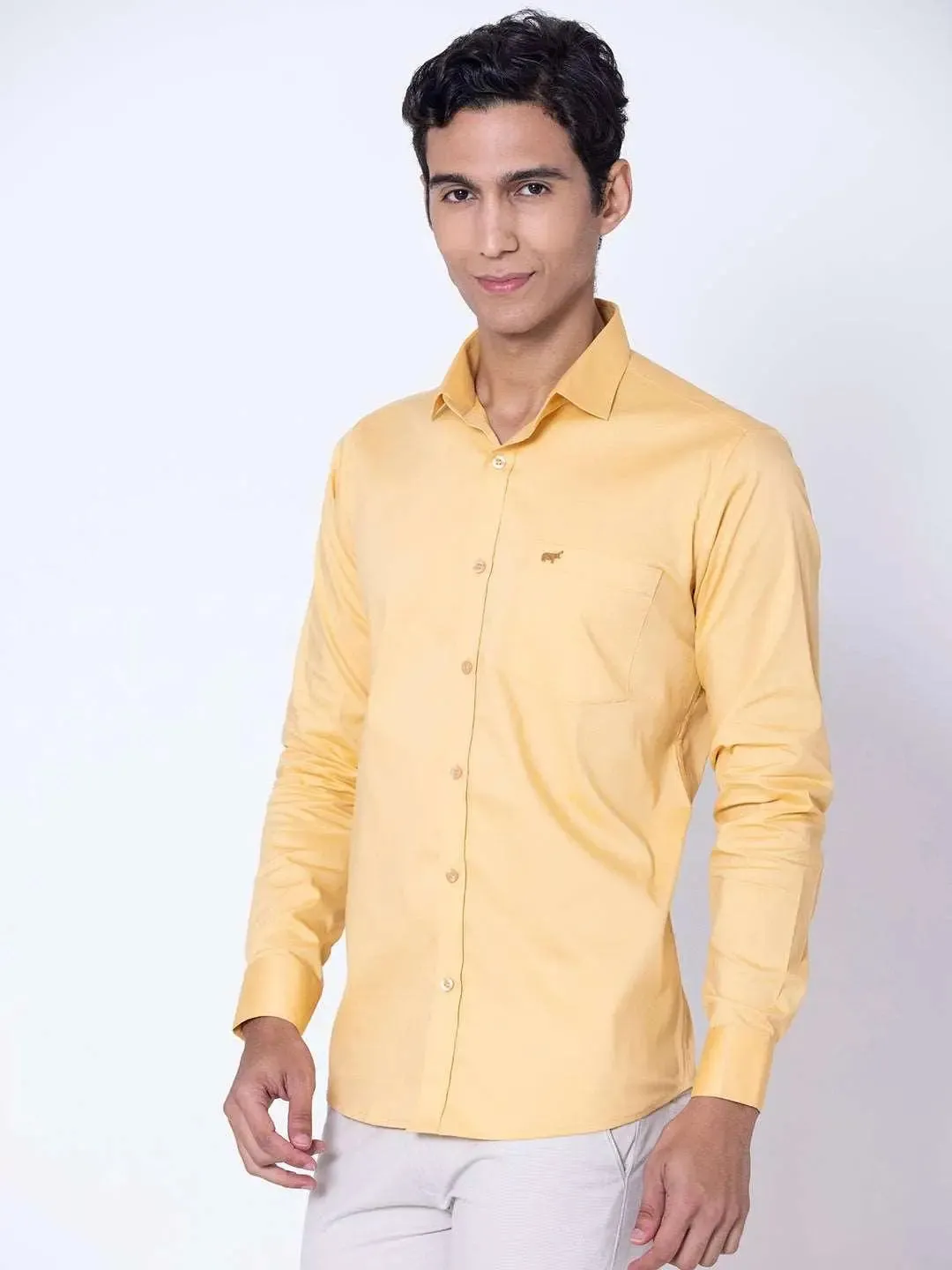 Regular Fit Casual Shirt