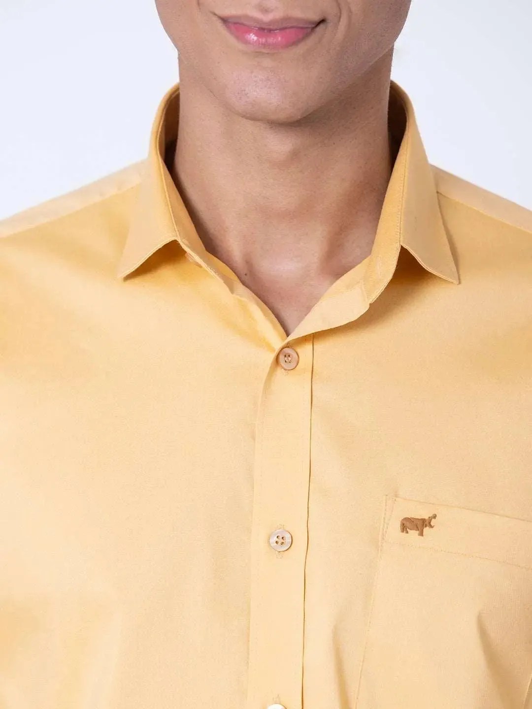 Regular Fit Casual Shirt